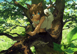 Rule 34 | 1girl, all fours, animal ear fluff, animal ears, blue eyes, brown hair, cat ears, cat girl, cat tail, dress, in tree, leaf, long hair, looking at viewer, nature, original, potg (piotegu), sleeveless, sleeveless dress, strap slip, sundress, tail, tree, tree shade, white dress