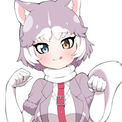 Rule 34 | 1girl, :3, animal ear fluff, animal ears, bad id, bad pixiv id, blush, breasts, closed mouth, collar, dog (mixed breed) (kemono friends), dog ears, dog girl, dog tail, elbow gloves, gloves, grey hair, heterochromia, highres, kemono friends, large breasts, looking at viewer, paw pose, short hair, short sleeves, smile, solo, tail, takom, tongue, tongue out, upper body, white gloves, white hair