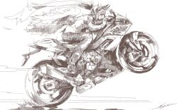 Rule 34 | 1girl, bmw, bmw s1000rr, commentary, commission, english commentary, floating hair, from side, greyscale, highres, horns, jacket, long hair, mizukiri fuurai, monochrome, motion lines, motor vehicle, motorcycle, original, pants, ponytail, riding, signature, skeb commission, solo, very long hair, wheelie, wings