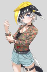 Rule 34 | 1girl, absurdres, belt, bird tail, black choker, black hair, blue eyes, blue shorts, bracelet, choker, clenched hand, closed mouth, collarbone, commentary, cowboy shot, cutoffs, great hornbill (kemono friends), grey background, hat, head wings, highres, jewelry, kemono friends, long sleeves, looking at viewer, multicolored hair, o-ring, o-ring choker, o-ring thigh strap, print shirt, shirt, short shorts, shorts, simple background, solo, tail, tanabe (fueisei), thigh strap, two-tone hair, white hair, wings