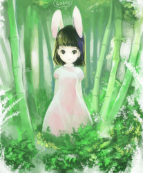 Rule 34 | 1girl, animal ears, bamboo, bamboo forest, black hair, blunt bangs, english text, expressionless, female focus, forest, green theme, gua, inaba tewi, nature, pov, rabbit ears, short hair, signature, solo, standing, touhou