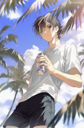 Rule 34 | 1boy, ajiro shinpei, black hair, black shorts, blue eyes, brown eyes, can, cloud, cloudy sky, day, drink can, heterochromia, highres, holding, holding can, long hair, looking at viewer, low ponytail, male focus, outdoors, palm tree, shirt, short hair, shorts, sky, soda bottle, soda can, summertime render, tree, white shirt, xiaojiaju