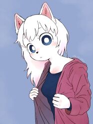 Rule 34 | 1girl, animal ears, blue background, blue eyes, blue shirt, body fur, breasts, bright pupils, buncama, closed mouth, dog ears, highres, hood, hooded jacket, jacket, open clothes, open jacket, original, purple jacket, shirt, simple background, small breasts, solo, twitter username, white fur, white hair, white pupils