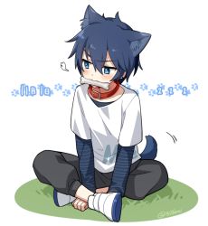 Rule 34 | 1boy, animal ears, blue eyes, blue hair, bone, chinese commentary, collar, commentary, dated, dog ears, dog tail, male focus, minahoshi taichi, mouth hold, paw print, shirt, shoes, sideways glance, sitting, sneakers, tail, tail wagging, twitter username, vocaloid, white shirt, zhiyu moke, zzz