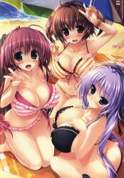 Rule 34 | 3girls, :d, ahoge, arm at side, ass, bare arms, bare legs, bare shoulders, barefoot, beach, beach towel, beach umbrella, bikini, black bikini, black ribbon, blue eyes, blush, bow, bow bikini, breast suppress, breasts, brown eyes, brown hair, butt crack, cleavage, closed mouth, collarbone, day, fingernails, flower, frilled bikini, frills, green eyes, groin, hair between eyes, hair flower, hair ornament, hair ribbon, hand up, hands on breasts, hands on own chest, highres, hoshizaki ouka, huge ahoge, large breasts, long hair, looking at viewer, multiple girls, navel, open mouth, oshiki hitoshi, outdoors, pink bikini, purple hair, red bow, red hair, ribbon, sakigake generation!, sand, scan, seashell, seiza, shell, shikishima natsume, short hair, short hair with long locks, sitting, smile, stomach, striped bikini, striped clothes, swimsuit, towel, twintails, two side up, umbrella, v, vertical-striped bikini, vertical-striped clothes, water, yellow bikini, yukinomiya anon