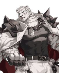 Rule 34 | 1boy, animal ears, arknights, bandaged hand, bandages, bara, belt, black tank top, bulge, chain, chain necklace, covered abs, cowboy shot, dog tags, dust, fighting stance, furry, furry male, highres, jacket, jacket on shoulders, jewelry, large pectorals, looking to the side, male focus, mountain (arknights), muscular, muscular male, necklace, pants, pectorals, scar, scar across eye, scar on face, short hair, shoulder spikes, solo, spikes, tank top, tiger boy, tiger ears, tokireii, white fur, white hair, white jacket, white pants