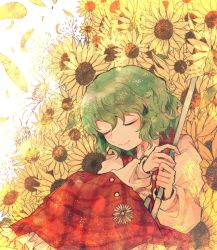 Rule 34 | 1girl, closed mouth, collared shirt, commentary request, closed eyes, flower, green hair, happy, highres, holding, holding umbrella, itomugi-kun, kazami yuuka, long sleeves, open clothes, open vest, red skirt, red vest, shirt, short hair, skirt, smile, solo, sunflower, touhou, umbrella, vest, wavy hair, white shirt
