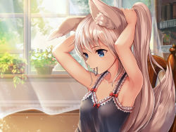 Rule 34 | 1girl, animal ear fluff, animal ears, arms up, bare arms, bare shoulders, black dress, blue eyes, blush, book, bow, breasts, chair, cleavage, closed mouth, collarbone, curtains, day, dress, flower pot, fox ears, fox tail, frilled dress, frills, hair tie, hairdressing, indoors, jar, light particles, long hair, looking down, mouth hold, original, plant, ponytail, potted plant, red bow, sakura ani, shelf, silver hair, sleeveless, sleeveless dress, small breasts, smile, solo, sunlight, tail, tareme, transparent, upper body