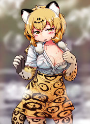Rule 34 | 10s, 1girl, animal ears, blonde hair, blush, breasts, cat ears, cat tail, clothes grab, clothes pull, collarbone, covered erect nipples, covered navel, cowboy shot, elbow gloves, fur collar, gabyo nuno, gloves, green eyes, half-closed eyes, hands up, high-waist skirt, holding, jaguar (kemono friends), jaguar ears, jaguar print, jaguar tail, kemono friends, looking at viewer, medium breasts, no bra, outdoors, parted lips, shirt, short hair, short sleeves, skirt, solo, standing, tail, thighhighs, undressing, wet, wet clothes, wet hair, wet shirt, wet skirt, white shirt, zettai ryouiki