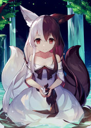 Rule 34 | 1girl, absurdres, alice mana, alice mana channel, animal ear fluff, animal ears, bad bilibili id, bad id, black hair, commentary, commentary request, hair between eyes, highres, long hair, looking at viewer, multicolored hair, red eyes, solo, two-tone hair, virtual youtuber, wawako mama, white hair