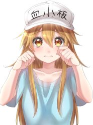 Rule 34 | 10s, 1girl, absurdres, arms up, bad id, bad pixiv id, blue shirt, brown eyes, brown hair, commentary request, crying, crying with eyes open, hat, hataraku saibou, highres, long hair, platelet (hataraku saibou), shirt, solo, tears, upper body
