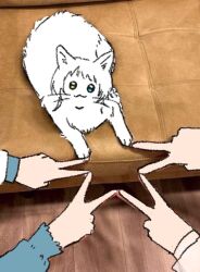 01007px 4girls :3 animal_focus animalization bang_dream! bang_dream!_it&#039;s_mygo!!!!! cat chihaya_anon commentary hand_focus hashtag-only_commentary kaname_raana long_sleeves looking_at_viewer multiple_girls mygo!!!!!_(bang_dream!) nagasaki_soyo shiina_taki takamatsu_tomori white_cat