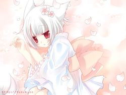 Rule 34 | 1girl, animal ears, bow, cat ears, cherry blossoms, hinayuki usa, japanese clothes, kimono, large bow, lying, on side, original, petals, red eyes, short hair, solo, white hair