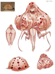 Rule 34 | 1girl, ass, breasts, crab, crab claw, crab girl, extra legs, female focus, legs, long hair, monster girl, my700, nude, original, reference photo, simple background, small breasts, solo, white background