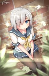 Rule 34 | 10s, 1girl, artist name, between legs, black pantyhose, blue eyes, blush, breasts, brick wall, hair ornament, hair over one eye, hairclip, hamakaze (kancolle), hand between legs, kantai collection, knees together feet apart, large breasts, leaf, looking at viewer, looking up, natsunoyuu, neckerchief, no gloves, pantyhose, pleated skirt, school uniform, serafuku, short hair, signature, silver hair, sitting, skirt, solo, sunlight, v arms, yellow neckerchief