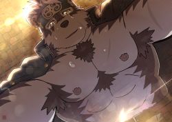 Rule 34 | 1boy, abs, animal ears, bara, body hair, brown fur, bulge, crying, crying with eyes open, dog boy, dog ears, facial hair, furry, furry male, grey fur, horkeu kamui, large pectorals, male focus, manly, muscular, nipples, pectorals, pov, revealing clothes, rossciaco, short hair, solo, tears, tokyo houkago summoners, topless male, two-tone fur, upper body