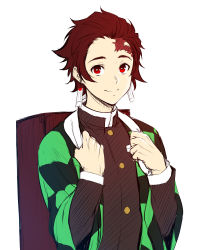 Rule 34 | 1boy, black jacket, burn mark, closed mouth, earrings, haori, jacket, japanese clothes, jewelry, kamado tanjirou, kimetsu no yaiba, long sleeves, looking at viewer, red eyes, red hair, short hair, simple background, smile, solo, upper body, white background, zucchini