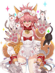 Rule 34 | + +, 10s, 1girl, animal, animal ears, animal hands, apron, asymmetrical legwear, bell, bow, breasts, cat, cat hair ornament, claws, cleavage, collar, fang, fangs, fate/extra, fate/grand order, fate (series), fox ears, fox tail, hair ornament, highres, jingle bell, long hair, maid headdress, multiple tails, naked apron, neck bell, open mouth, outstretched hand, pink hair, red bow, ribbon trim, sash, small breasts, solo, sparkle, sparkling eyes, tail, tamamo (fate), tamamo cat (fate), tamamo cat (third ascension) (fate), tamamo no mae (fate/extra), thighhighs, tokopi, uneven legwear, white background, white bow
