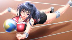 Rule 34 | 1girl, ball, bike shorts, blue hair, blush, breasts, character request, cleavage, elbow pads, feet, female focus, floor, focused, full body, game cg, jumping, kaneshiro wataru, knee pads, large breasts, legs, light blush, long hair, motion blur, open mouth, original, playing, playing sports, purple eyes, shadow, shoes, sleeveless, sneakers, soku iki bishonure athlete!, solo, sportswear, thighs, uniform, volleyball, volleyball (object), volleyball uniform
