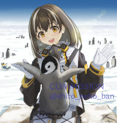 Rule 34 | 1girl, :d, animal, animal on lap, arknights, bird, black hair, blue sky, brown eyes, commentary request, commission, day, gloves, hair between eyes, hands up, head tilt, highres, jacket, long sleeves, magallan (arknights), multicolored hair, on lap, open mouth, outdoors, penguin, puffy long sleeves, puffy sleeves, shironekoban, sitting, sky, smile, snow, solo, streaked hair, twitter username, white gloves, white hair, white jacket