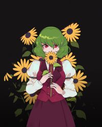 Rule 34 | 1girl, adapted costume, black background, commentary, english commentary, flower, green hair, highres, holding, holding flower, juliet sleeves, kazami yuuka, long sleeves, looking at viewer, puffy sleeves, rabbitfolly, red eyes, red skirt, red vest, shirt, short hair, simple background, skirt, solo, sunflower, touhou, vest, white shirt