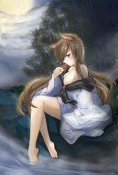 Rule 34 | 1girl, alcohol, animal ears, bamboo, bamboo forest, bare shoulders, barefoot, blush, bottomless, breasts, breasts out, brooch, brown hair, collarbone, dress, drunk, forest, highres, imaizumi kagerou, jewelry, keshi (takewalker), large breasts, long hair, looking at viewer, nature, nipples, one breast out, red eyes, sakazuki, sitting, soaking feet, solo, touhou, very long hair, wolf ears