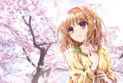 Rule 34 | 1girl, bow, breasts, brown eyes, brown hair, cherry blossoms, closed mouth, collarbone, commentary request, day, flower, hair bow, hair ornament, hairclip, hands up, looking away, looking to the side, medium breasts, outdoors, pink flower, shakugan no shana, shirt, smile, solo, tachitsu teto, tree, upper body, white bow, x hair ornament, yellow shirt, yoshida kazumi