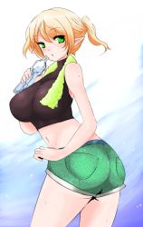 Rule 34 | 1girl, alternate breast size, alternate hairstyle, ass, blonde hair, bottle, crop top, female focus, green eyes, han (jackpot), mizuhashi parsee, navel, pointy ears, ponytail, shorts, solo, sweat, touhou