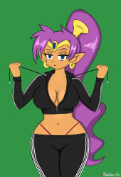 Rule 34 | 1girl, absurdres, alternate breast size, artist name, blue eyes, breasts, cleavage, curvy, highres, jacket, large breasts, legs, looking at viewer, mide, midriff, navel, pants, pointy ears, ponytail, purple hair, shantae, shantae (series), solo, thick thighs, thighs, thong, wide hips