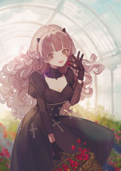 Rule 34 | 1girl, absurdres, black dress, black gloves, blurry, blurry background, botanical garden, braid, breasts, cleavage, cross, curly hair, dress, food, foot hair, fruit, garden, gloves, grey eyes, grey hair, hair ornament, highres, holding, holding food, light rays, long hair, long sleeves, looking at viewer, nanami: storm (punishing: gray raven), nanami (punishing: gray raven), open mouth, punishing: gray raven, rooftop, senryoko, small breasts, smile, solo, strawberry, sunbeam, sunlight
