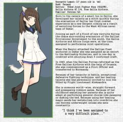 Rule 34 | 10s, 1girl, animal ears, brave witches, brown hair, character profile, georgette lemare, jacket, legs, ribbon, shimada fumikane, solo, strike witches, tail, twintails, uniform, world witches series