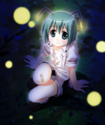 Rule 34 | 1girl, antennae, bad id, bad pixiv id, bandaid, bandaid on knee, bandaid on leg, blouse, bug, buttons, female focus, fireflies, firefly, flat chest, green eyes, green hair, insect, looking at viewer, looking up, matching hair/eyes, night, shirt, short hair, shorts, smile, solo, touhou, umekichi, wriggle nightbug