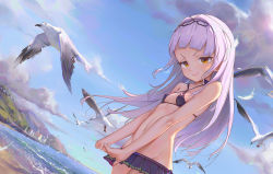 Rule 34 | 1girl, bare arms, bare shoulders, bikini, bingwei huang, bird, blue sky, blunt bangs, breasts, choker, closed mouth, cloud, criss-cross halter, day, dutch angle, groin, halterneck, highres, hololive, light smile, long hair, looking at viewer, lowleg, microskirt, murasaki shion, murasaki shion (hololive summer 2019), navel, ocean, outdoors, pleated skirt, purple bikini, purple skirt, seagull, silver hair, skirt, sky, small breasts, solo, standing, stomach, summer, swimsuit, virtual youtuber, wind, yellow eyes