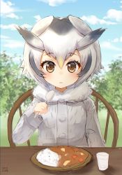 Rule 34 | 10s, 1girl, blue sky, brown eyes, buttons, chair, cloud, cloudy sky, curry, day, food, fur collar, fur trim, grass, head wings, highres, holding, holding spoon, jacket, kemono friends, long sleeves, looking at viewer, multicolored hair, nayuhi (yukimuu14), northern white-faced owl (kemono friends), outdoors, short hair, sitting, sky, solo, spoon, table, tree, upper body, white hair, wings