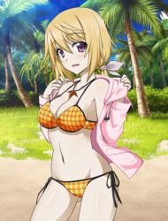 Rule 34 | 10s, 1girl, bikini, blonde hair, breasts, charlotte dunois, cleavage, collarbone, day, eyebrows, grey ribbon, groin, hair ribbon, infinite stratos, jacket, jewelry, long hair, looking at viewer, lowres, medium breasts, navel, necklace, open clothes, open jacket, orange bikini, outdoors, palm tree, pink jacket, purple eyes, ribbon, side-tie bikini bottom, solo, swimsuit, tree
