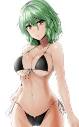 Rule 34 | 1girl, alternate costume, arms at sides, bikini, black bikini, breasts, cameltoe, cleavage, collarbone, cowboy shot, front-tie bikini top, front-tie top, green hair, highleg, highleg bikini, highres, kazami yuuka, large breasts, looking at viewer, micro bikini, navel, one-hour drawing challenge, parted lips, red eyes, shiny skin, short hair, side-tie bikini bottom, simple background, solo, stomach, swimsuit, thigh gap, touhou, underboob, white background, wide hips, y2