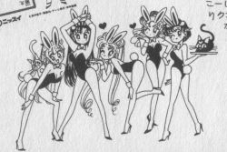 Rule 34 | 1990s (style), 5girls, aino minako, animal ears, artemis (sailor moon), bishoujo senshi sailor moon, black cat, breasts, cat, cleavage, fake animal ears, greyscale, hand on own hip, high contrast, high heels, hino rei, kino makoto, legs apart, leotard, luna (sailor moon), mizuno ami, monochrome, multiple girls, official art, playboy bunny, rabbit ears, rabbit tail, retro artstyle, shoes, standing, tail, takeuchi naoko, tsukino usagi, twintails