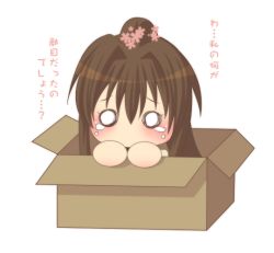 Rule 34 | 10s, 1girl, box, brown hair, chibi, flower, for adoption, hair flower, hair ornament, in box, in container, kantai collection, long hair, mamiya aira, o o, ponytail, solo, teardrop, tearing up, tears, transparent background, yamato (kancolle)