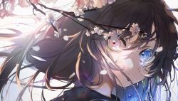 Rule 34 | 1girl, blue eyes, branch, brown hair, colored tears, crying, crying with eyes open, eyelashes, floating hair, flower, hassan (sink916), heterochromia, long hair, looking at viewer, looking back, motion blur, original, parted lips, petals, portrait, red eyes, solo, teardrop, tears