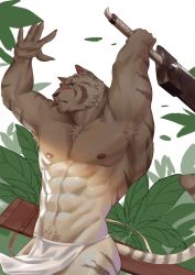 Rule 34 | 1boy, abs, armpits, arms up, blue eyes, frde, furry, furry male, leaf, loincloth, looking to the side, male focus, mercenary (zero kara hajimeru mahou no sho), muscular, nipples, sheath, solo, sword, tail, thick arms, tiger, tiger tail, weapon, white background, white hair, zero kara hajimeru mahou no sho