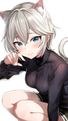 Rule 34 | 1girl, absurdres, anastasia (idolmaster), animal ear fluff, animal ears, black sweater, blush, breasts, cat ears, cat tail, extra ears, fingernails, grey hair, highres, idolmaster, idolmaster cinderella girls, kemonomimi mode, looking at viewer, medium breasts, popon ta, ribbed sweater, short hair, simple background, smile, solo, squatting, sweater, tail, white background