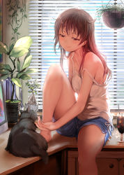 Rule 34 | backlighting, bare legs, bare shoulders, barefoot, black cat, blush, brown eyes, brown hair, cat, collarbone, commentary request, cup, day, drink, drinking glass, drinking straw, half-closed eyes, headpat, highres, indoors, leg up, long hair, messy hair, mikazuki akira!, off shoulder, original, plant, potted plant, shorts, sitting, smile, solo, strap slip, tank top, window blinds