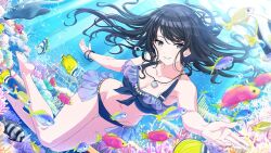 Rule 34 | 1girl, bare legs, bare shoulders, barefoot, bikini, black hair, blue bikini, blue eyes, bracelet, breasts, bubble, check translation, collarbone, coral, coral reef, feet, fish, foreshortening, frilled bikini, frills, game cg, grin, groin, idolmaster, idolmaster shiny colors, jewelry, kazano hiori, legs, long hair, looking at viewer, midriff, mole, mole under mouth, multiple bracelets, navel, necklace, ocean, official art, outstretched arm, outstretched hand, reaching, reaching towards viewer, shell, shell necklace, small breasts, smile, soles, solo, stingray, stomach, sunlight, swimming, swimsuit, thigh gap, thighs, toes, translation request, underwater