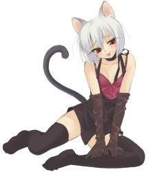 Rule 34 | :p, animal ears, cat ears, cat tail, elbow gloves, feet, full body, gloves, piyodera mucha, simple background, solo, tail, thighhighs, tongue, tongue out, white background