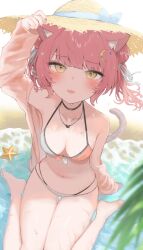 Rule 34 | 1girl, animal ear fluff, animal ears, arm up, barefoot, bikini, blush, breasts, cat ears, cat girl, cat tail, cleavage, crescent, crescent hair ornament, double bun, hair bun, hair ornament, hair ribbon, halterneck, hat, highres, indie virtual youtuber, jacket, looking at viewer, medium breasts, munmosshu, off shoulder, open clothes, open jacket, outdoors, pink hair, ribbon, short hair, sitting, solo, sorotu, starfish, straw hat, string bikini, swimsuit, tail, virtual youtuber, water, wet, yellow eyes