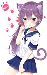 Rule 34 | 1girl, akebono (kancolle), akino ell, animal ears, bell, blue ribbon, blue sailor collar, blue skirt, blush, breasts, cat ears, cat girl, cat tail, character name, collarbone, commentary request, cowboy shot, fang, flower, hair bell, hair between eyes, hair flower, hair ornament, hand up, heart, highres, jingle bell, kantai collection, kemonomimi mode, long hair, looking at viewer, neck ribbon, parted lips, paw print, paw print background, pink flower, pleated skirt, purple eyes, purple hair, ribbon, sailor collar, school uniform, serafuku, shirt, short sleeves, sidelocks, skirt, small breasts, solo, tail, v-shaped eyebrows, very long hair, white background, white shirt