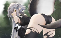 Rule 34 | 1girl, arknights, ass, bare shoulders, bent over, black panties, black thighhighs, blurry, blurry background, commentary, crocodilian tail, detached sleeves, english commentary, from behind, highres, large tail, long hair, looking at viewer, looking back, panties, pointy ears, sidelocks, silver hair, solo, tail, thighhighs, thighs, tomimi (arknights), underwear, vchan, very long hair, yellow eyes