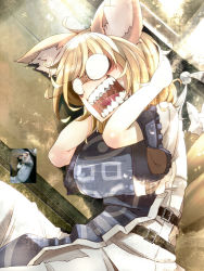 Rule 34 | 1girl, angry, animal, animal ears, blonde hair, breasts, comparison, derivative work, dog, female focus, fox ears, large breasts, lying, no pupils, o o, open mouth, parody, photo (medium), photo inset, reference inset, reference photo, sakurai energy, saliva, solo, surcoat, teeth, touhou, yakumo ran