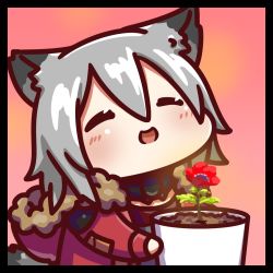 Rule 34 | 1girl, animal ears, arknights, blush, closed eyes, commentary request, flower, flower pot, fur-trimmed hood, fur trim, grey hair, hair between eyes, happy, holding, holding flower, holding flower pot, holding pot, hood, hooded jacket, jacket, kagami kino, long hair, long sleeves, open mouth, pot, projekt red (arknights), red jacket, smile, solo, tail, upper body, wolf ears