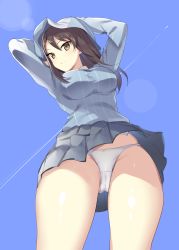 Rule 34 | 10s, 1girl, blue skirt, breasts, brown eyes, brown hair, contrail, day, from below, girls und panzer, hand on headwear, hat, highres, icomochi, impossible clothes, impossible shirt, keizoku school uniform, long hair, medium breasts, mika (girls und panzer), panties, pantyshot, pleated skirt, school uniform, shirt, skindentation, skirt, sky, smile, solo, standing, striped clothes, striped shirt, underwear, vertical-striped clothes, vertical-striped shirt